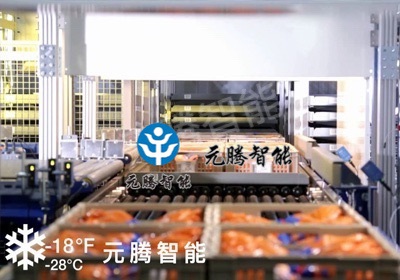冷冻版码垛机器人
